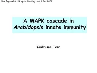 A MAPK cascade in Arabidopsis innate immunity