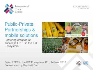 Public-Private Partnerships &amp; mobile solutions