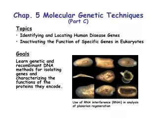Chap. 5 Molecular Genetic Techniques (Part C)