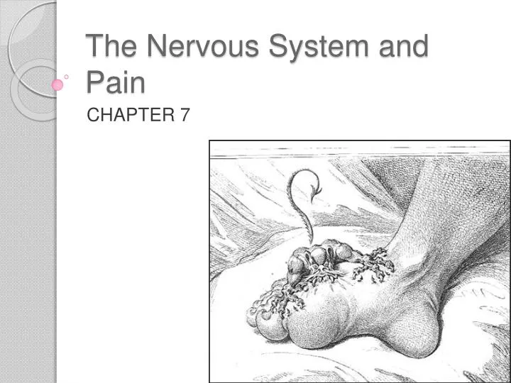 the nervous system and pain