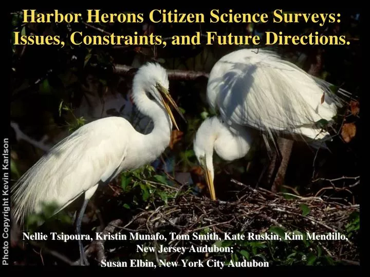 harbor herons citizen science surveys issues constraints and future directions