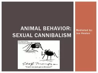 Animal Behavior: Sexual Cannibalism
