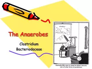 The Anaerobes