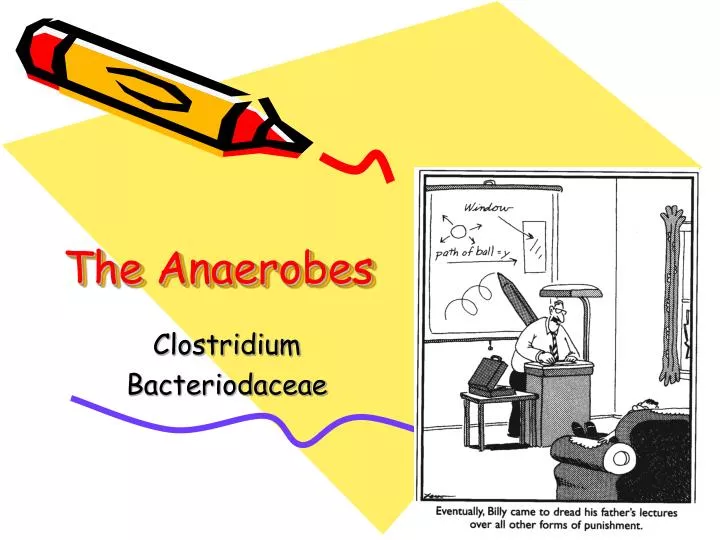 the anaerobes