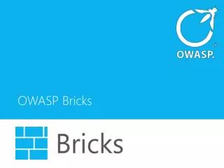OWASP Bricks