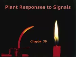 Plant Responses to Signals