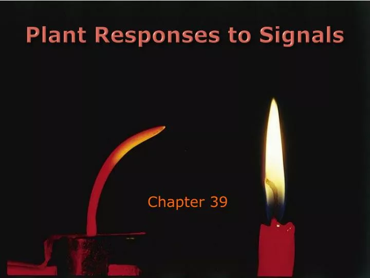 plant responses to signals