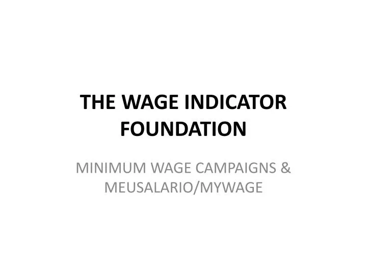 the wage indicator foundation