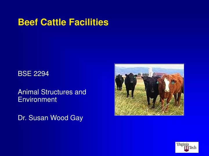 beef cattle facilities