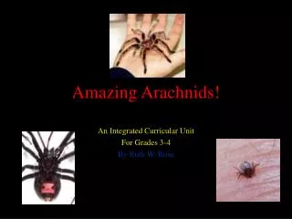 Amazing Arachnids!