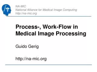 Process-, Work-Flow in Medical Image Processing