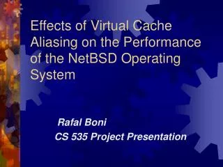 Effects of Virtual Cache Aliasing on the Performance of the NetBSD Operating System