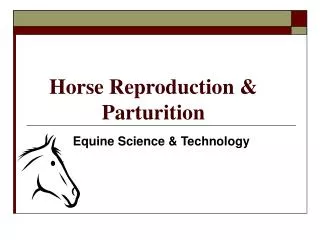 Horse Reproduction &amp; Parturition