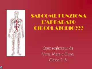 sai come funziona l apparato circolatorio