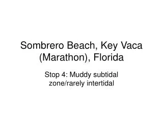 Sombrero Beach, Key Vaca (Marathon), Florida