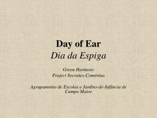 Day of Ear Dia da Espiga