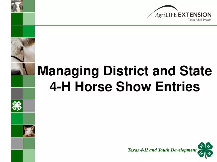 managing district and state 4 h horse show entries