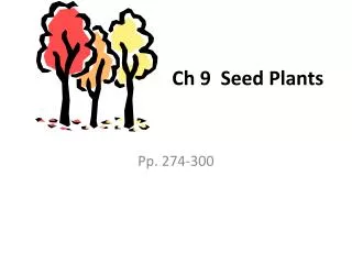Ch 9 Seed Plants