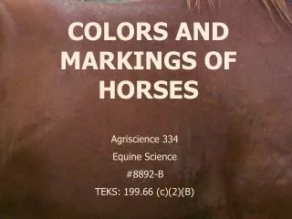COLORS AND MARKINGS OF HORSES