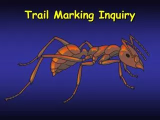 Trail Marking Inquiry