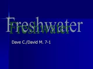 Dave C./David M. 7-1