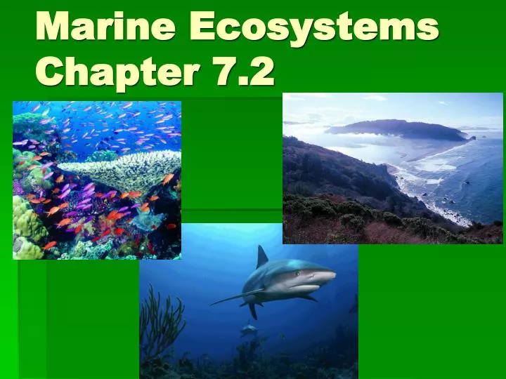 marine ecosystems chapter 7 2