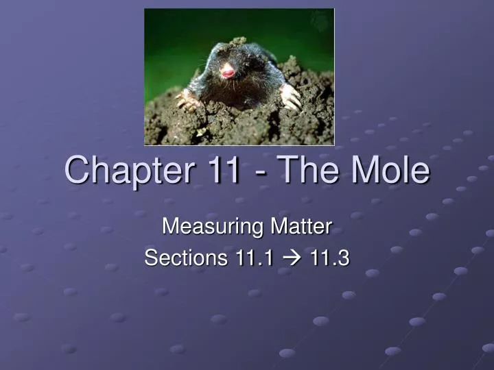 chapter 11 the mole