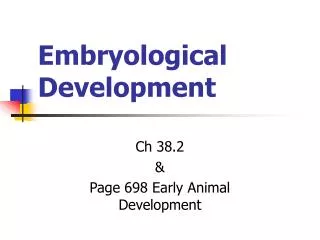 Embryological Development
