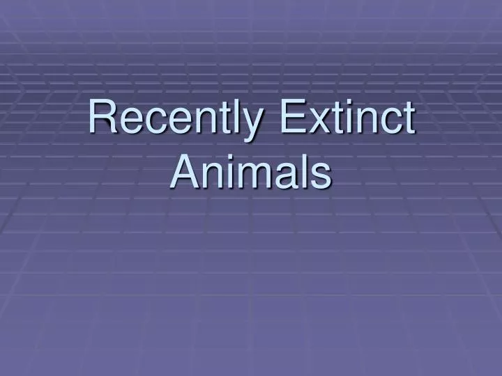 recently extinct animals