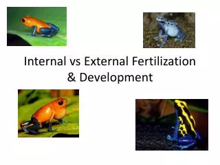 Internal vs External Fertilization &amp; Development