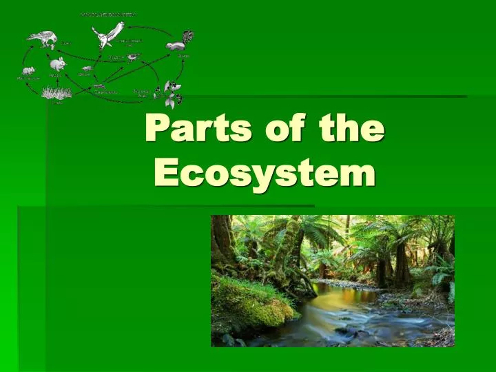 parts of the ecosystem