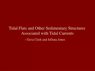 Tidal Flats and Other Sedimentary Structures Associated with Tidal Currents