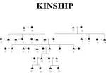 KINSHIP - slide 1