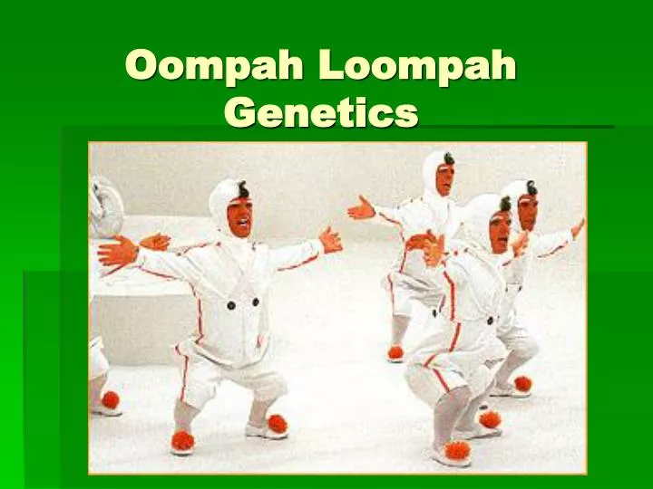 oompah loompah genetics