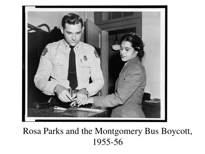 rosa parks and the montgomery bus boycott 1955 56