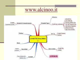 www alcinoo it