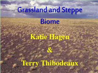 Grassland and Steppe Biome