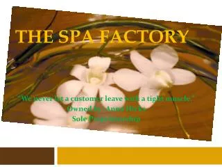 The Spa Factory