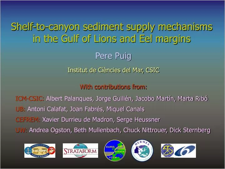 shelf to canyon sediment supply mechanisms in the gulf of lions and eel margins