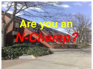 Are you an N-Champ?