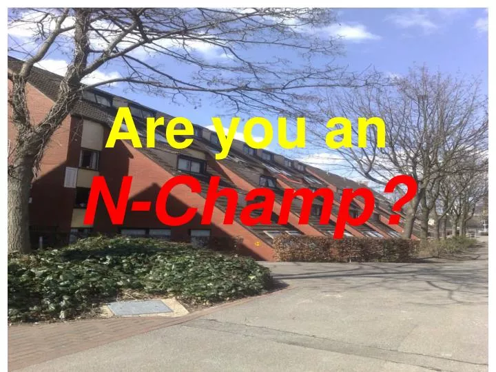 are you an n champ