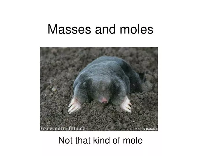 masses and moles