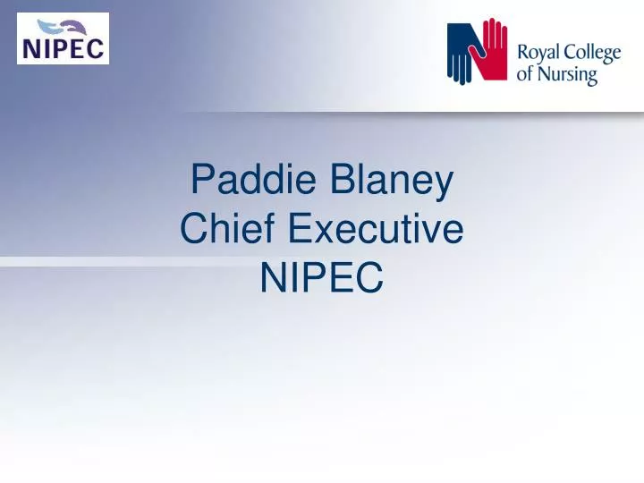 paddie blaney chief executive nipec