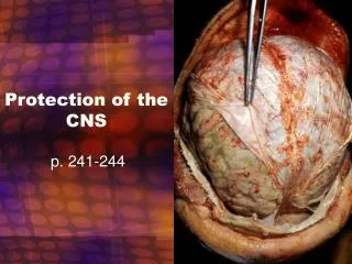 Protection of the CNS