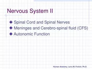 Nervous System II