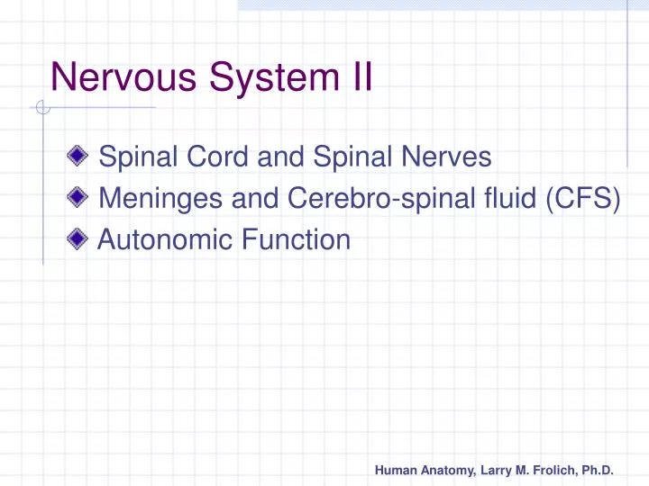 nervous system ii