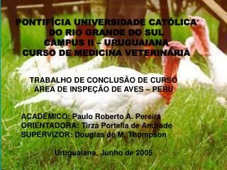 PONTIFÍCIA UNIVERSIDADE CATÓLICA DO RIO GRANDE DO SUL CAMPUS II – URUGUAIANA CURSO DE MEDICINA VETERINÁRIA