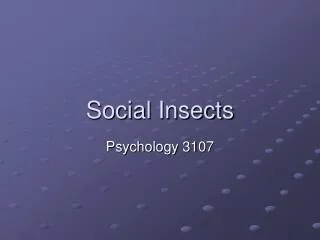 Social Insects