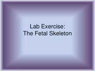 Lab Exercise: The Fetal Skeleton