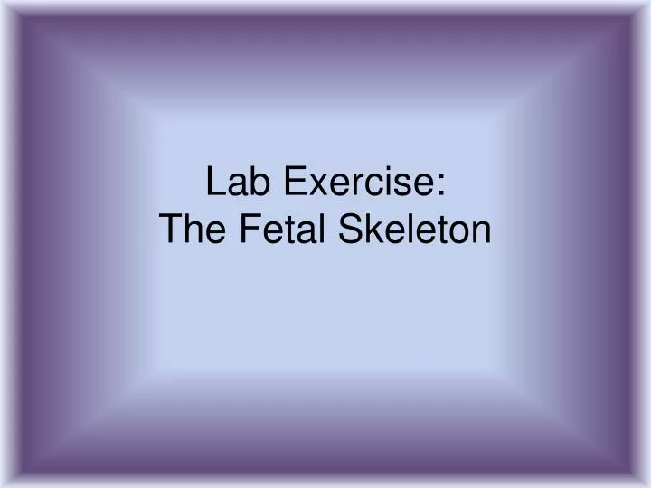 lab exercise the fetal skeleton